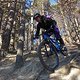 DSC02306-ck