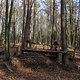 IMG 1891
