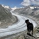IMG 4373