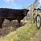 Fahrradtour