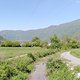 IMG 20250502 114415