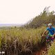 Ein Stück schöner Trail, gefunden an der Kelapo Range