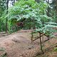 DSC 4723