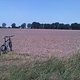 IMG00060-20100807-1330