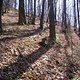 IMG 6690