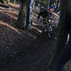 IMG 1848