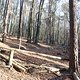 IMG 1666