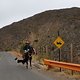 Pferde sind ganz normale Verkehrsteilnehmer hier in Chile.