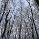 Winterpokal-Aktivität