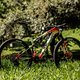 MTBNews25 Araxa2 VKoretzkyBike-0330