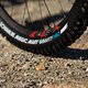 20250507 UCI EDR WC PietraLigure SR34863
