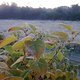 111021 Frostiger Morgen