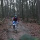 IMG 1231