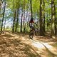 20160505-IMG 5553
