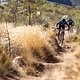 Karl Platt and Christoph Sauser during stage 6 of the 2022 Absa Cape Epic Mountain Bike stage race from Stellenbosch to Stellenbosch, South Africa on the 26th March 2022. Photo by Nick Muzik/Cape Epic
PLEASE ENSURE THE APPROPRIATE CREDIT IS GIVEN TO 