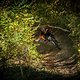 Specialized Enduro Treuchtlingen by Lars Pamler-9