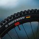 worlds-bikes-v10-nina-99560