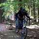 Bild00523