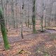 SDC19431 kl