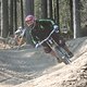 IMG 8977