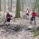 DSCF3169