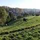 111113 Gladbacher Idyll