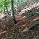 DSC02952
