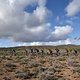 2018 Stage 6 Health Cape Pioneer Trek presented by Biogen captured by Marike Cronje for www.zcmc.co