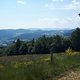 fast wie im Schwarzwald