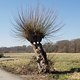 Au boulot à vélo - Offenbach - Rödelheim und retour via Höchst