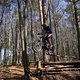 Bike Beerfelden P 276
