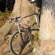 Neueck 032