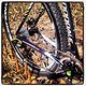 SRAM X.0 grün, Jagwire Ripcord L3 grün
