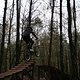 IMG 5185