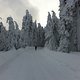 Foto22