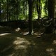dirt