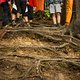 Track Walk - EDC Kranjska Gora 2015