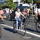 Critical Mass 1706 4818a