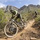 Riders during Stage 1 of the 2024 Absa Cape Epic Mountain Bike stage race from Saronsberg Wine Estate to Saronsberg Wine Estate, Tulbagh, South Africa on the 18th March 2024. Photo by Sam Clark/Cape Epic
PLEASE ENSURE THE APPROPRIATE CREDIT IS GIVEN 