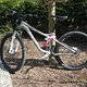 IMG 1135