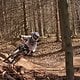 Forest Shred