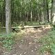 DSC00423