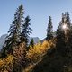 IMG 0565
