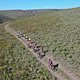 2018 #GondwanaGlory Momentum Health Cape Pioneer Trek presented by Biogen Stage1-0288