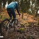 Gravelbikes liegen voll im Trend. Das wird sich 2021 auch nicht ändern