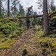 Rudel Ostbums - Faust Trail As