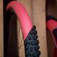 Sea Otter Classic Tag1-13