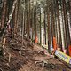 Im Wald gibt es an verschiedenen Stellen eine Linienwahl.