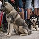 Leogang-Finale-0801