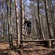 Bike Beerfelden P 260